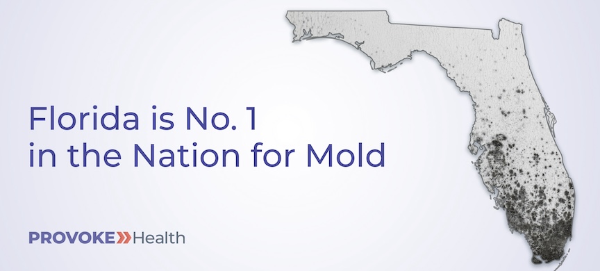 Mold problem in the state of Florida